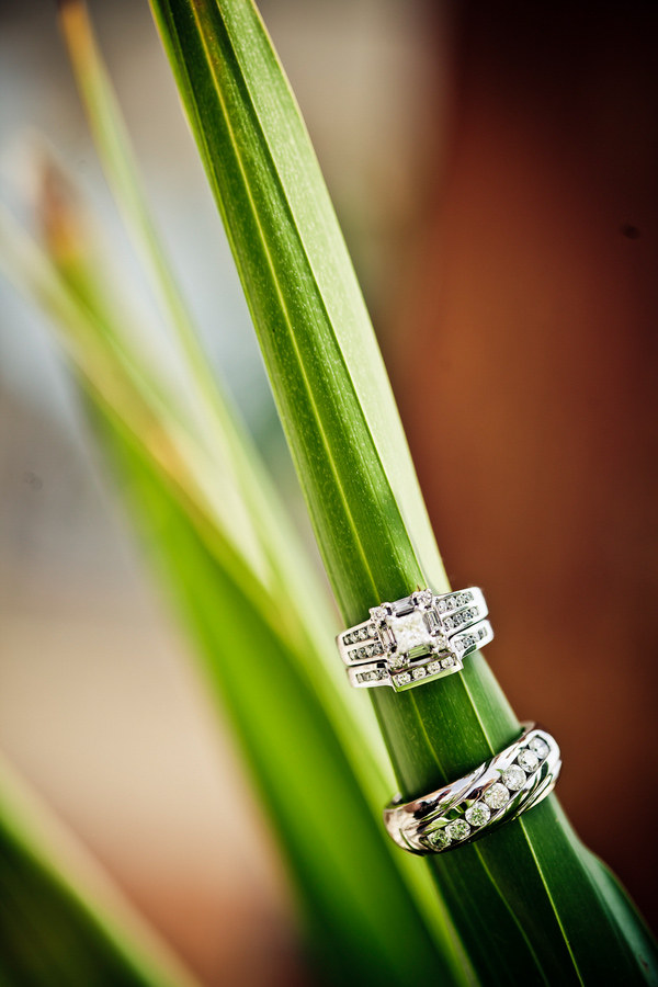 Tropical wedding photo with rings by JAGstudios
